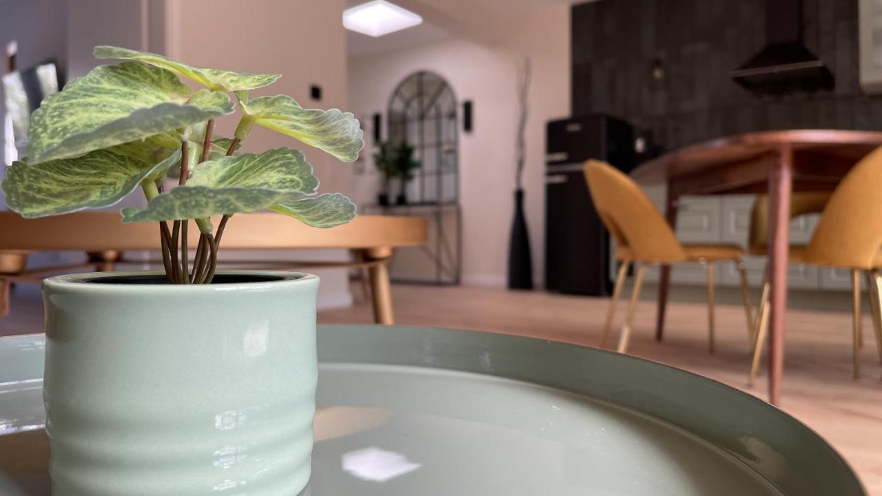 Malis-Ferienhaus Bad Harzburg Esterno foto